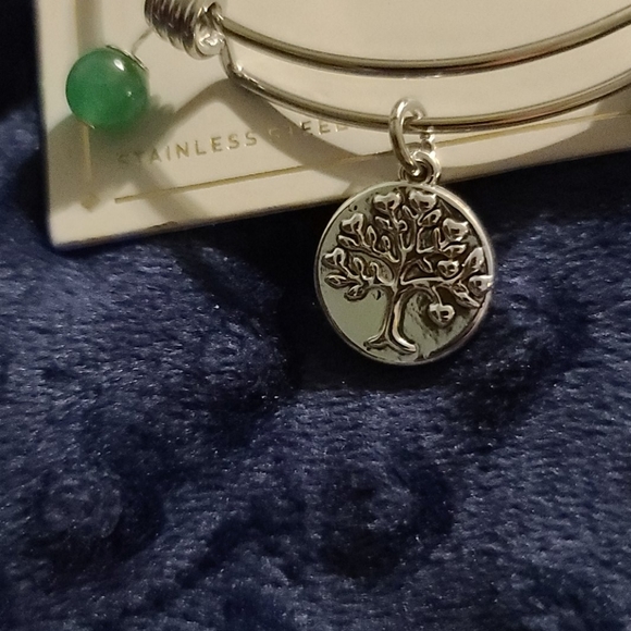 Stainless steel family expandable charm bracelet s - Picture 3 of 6